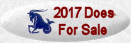 2017 Does For Sale