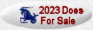 2023 Does For Sale